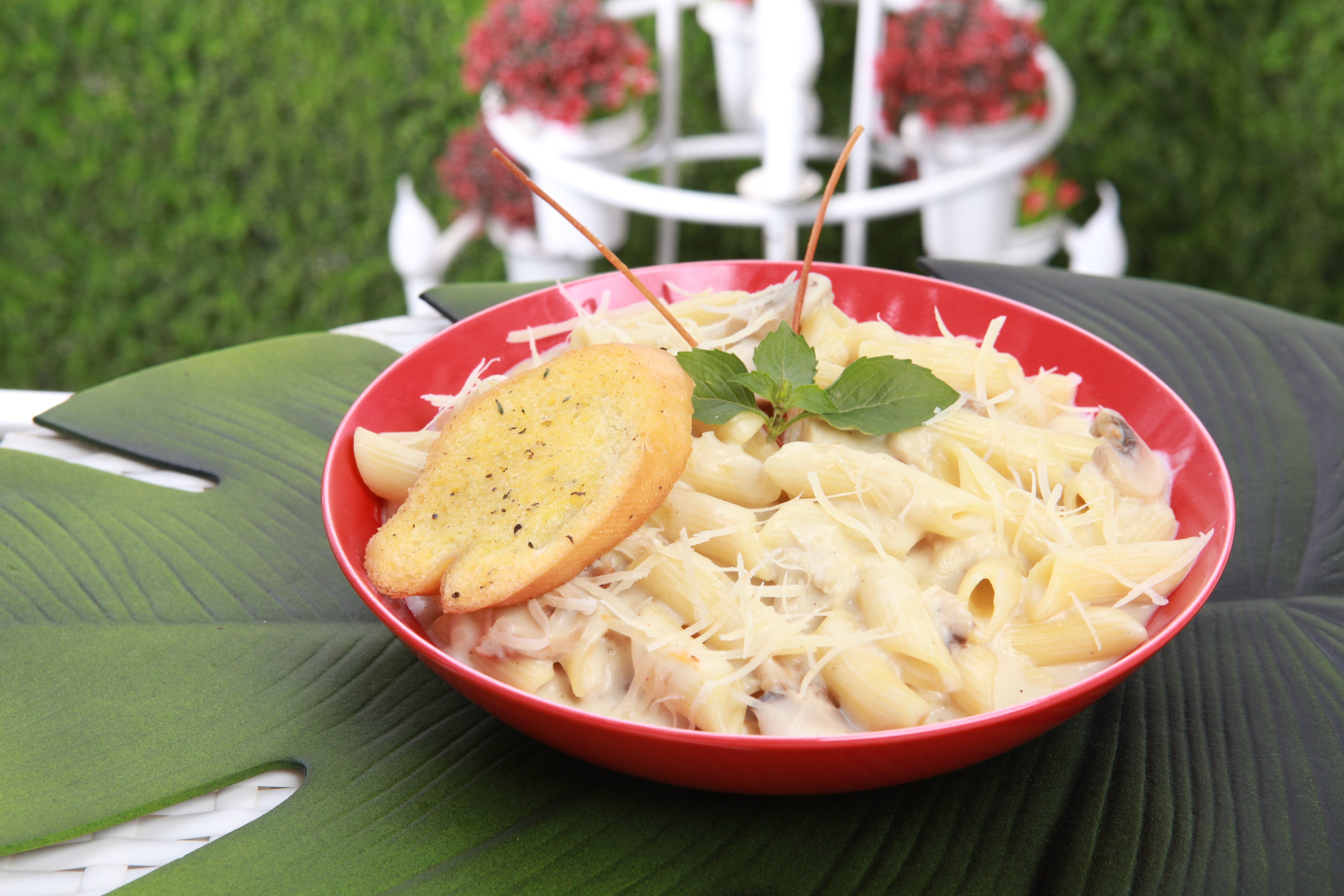 Alfredo Pasta - مكرونة الفريدو