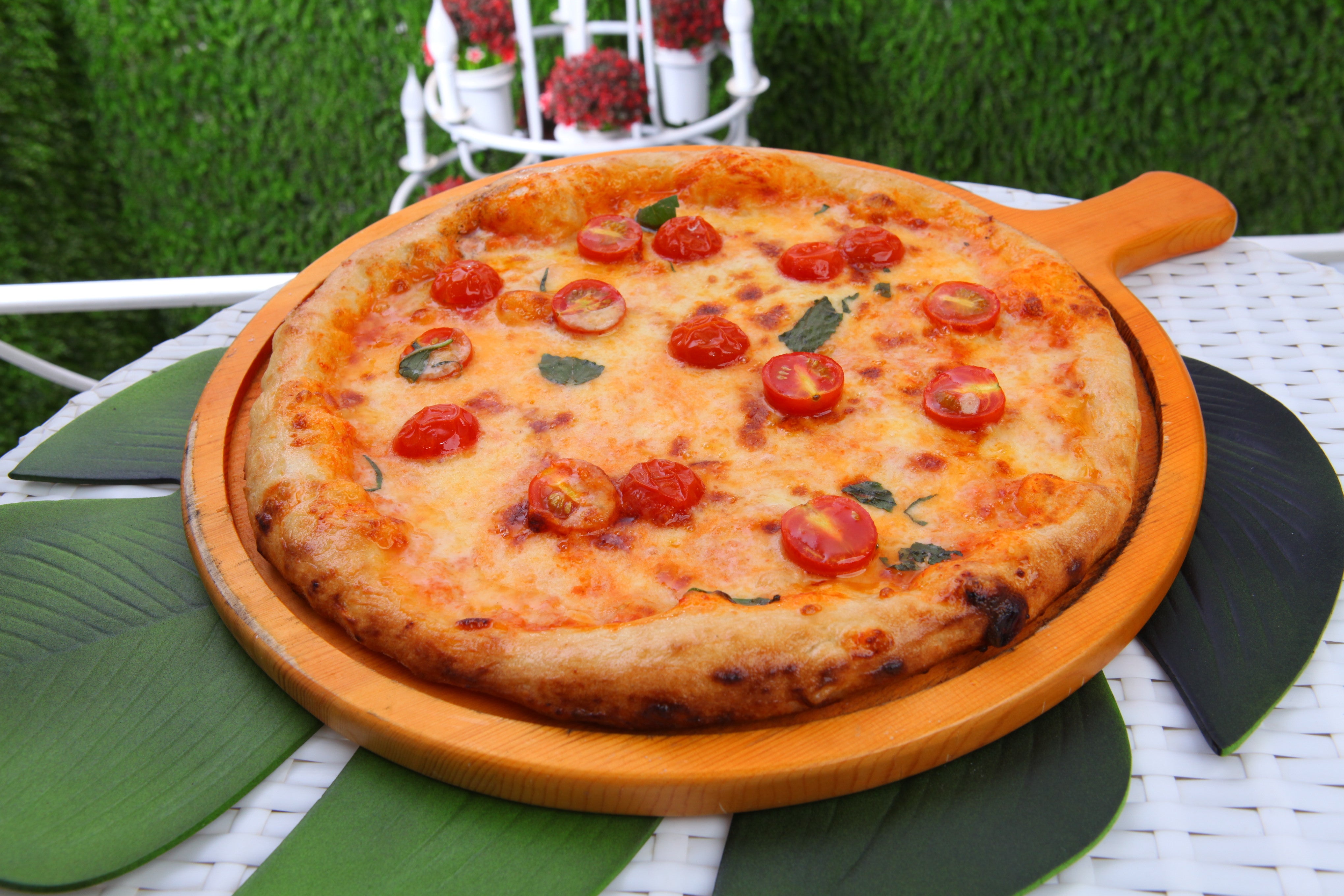 margherita pizza - بيتزا مارغريتا
