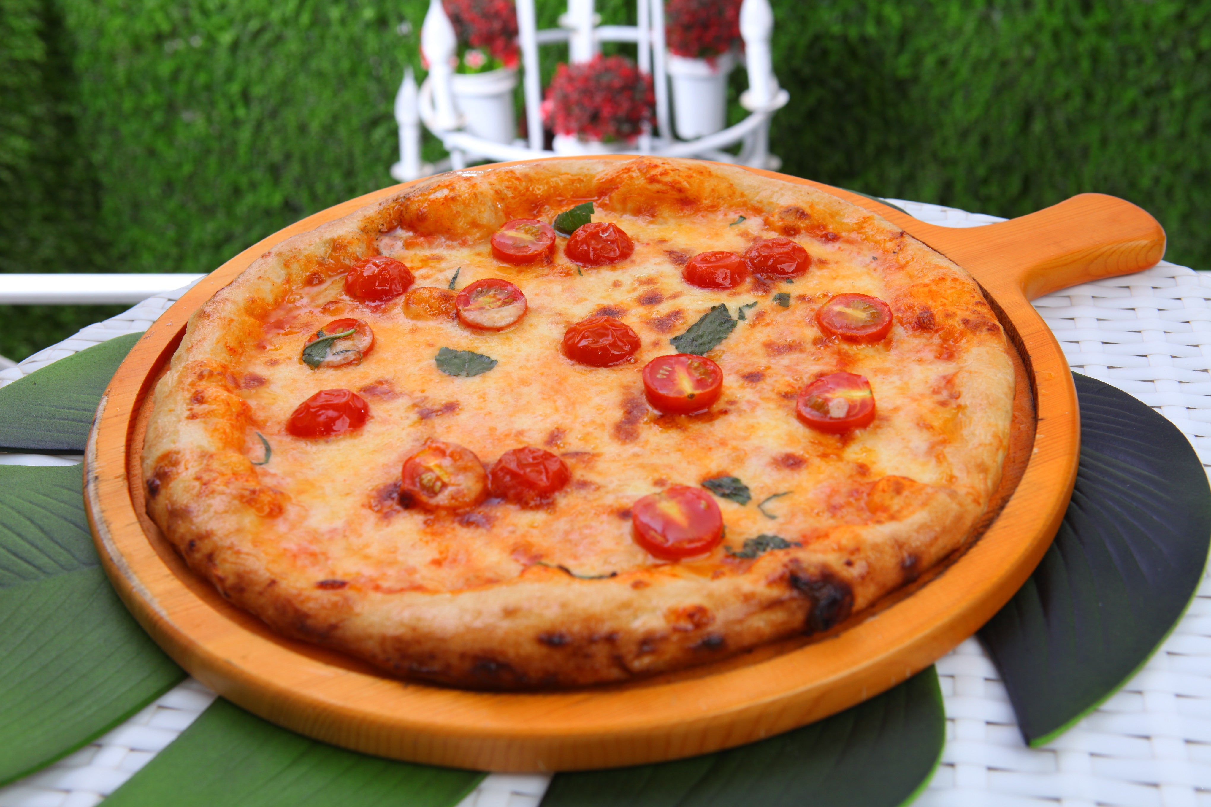 Margherita Pizza بيتزا مارجريتا Kiss Pizza Fired Wood Pizza I مطعم بوس البيتزا بيتزا على